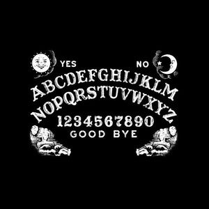 Meet your Posher, Gianna